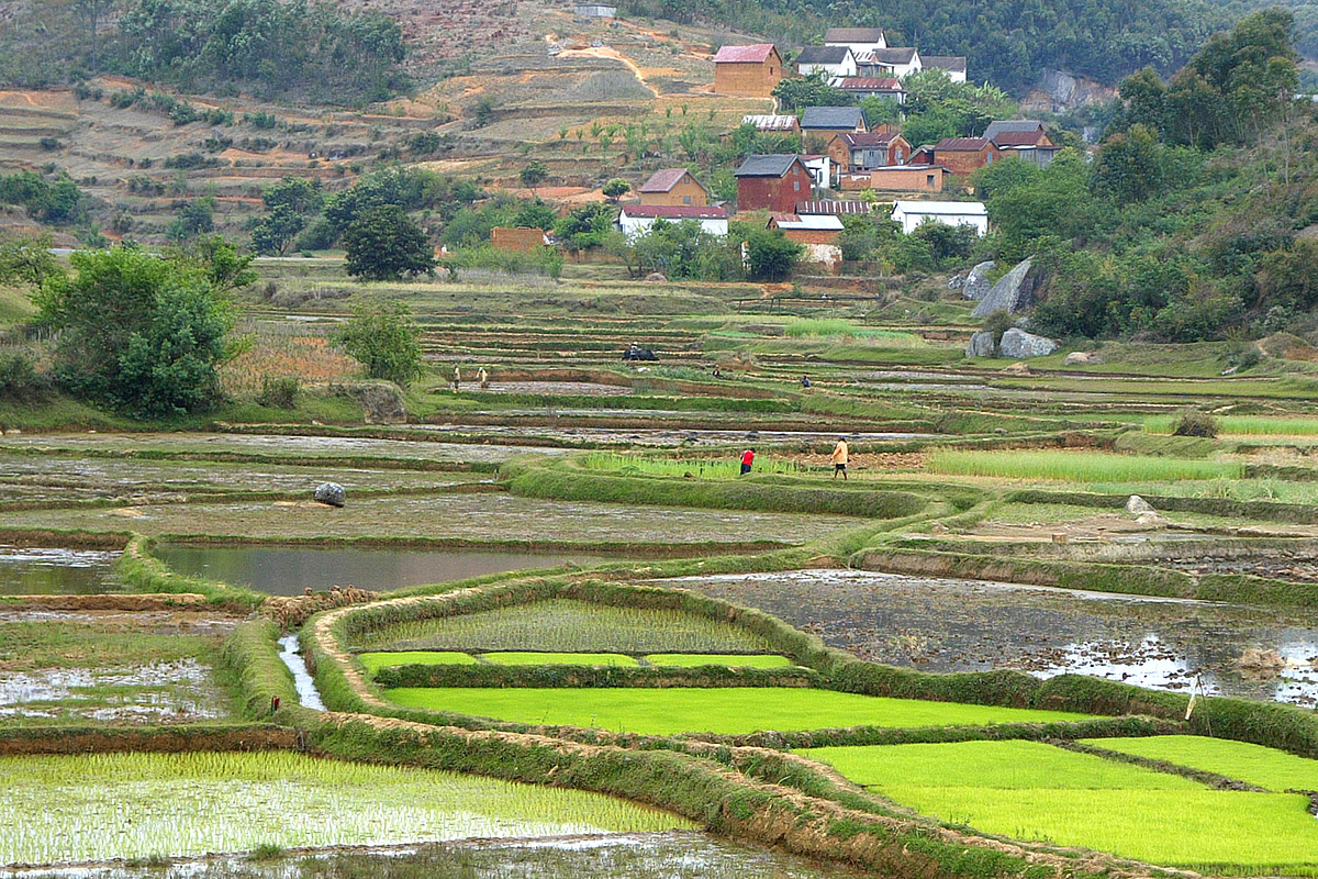 Madagascar