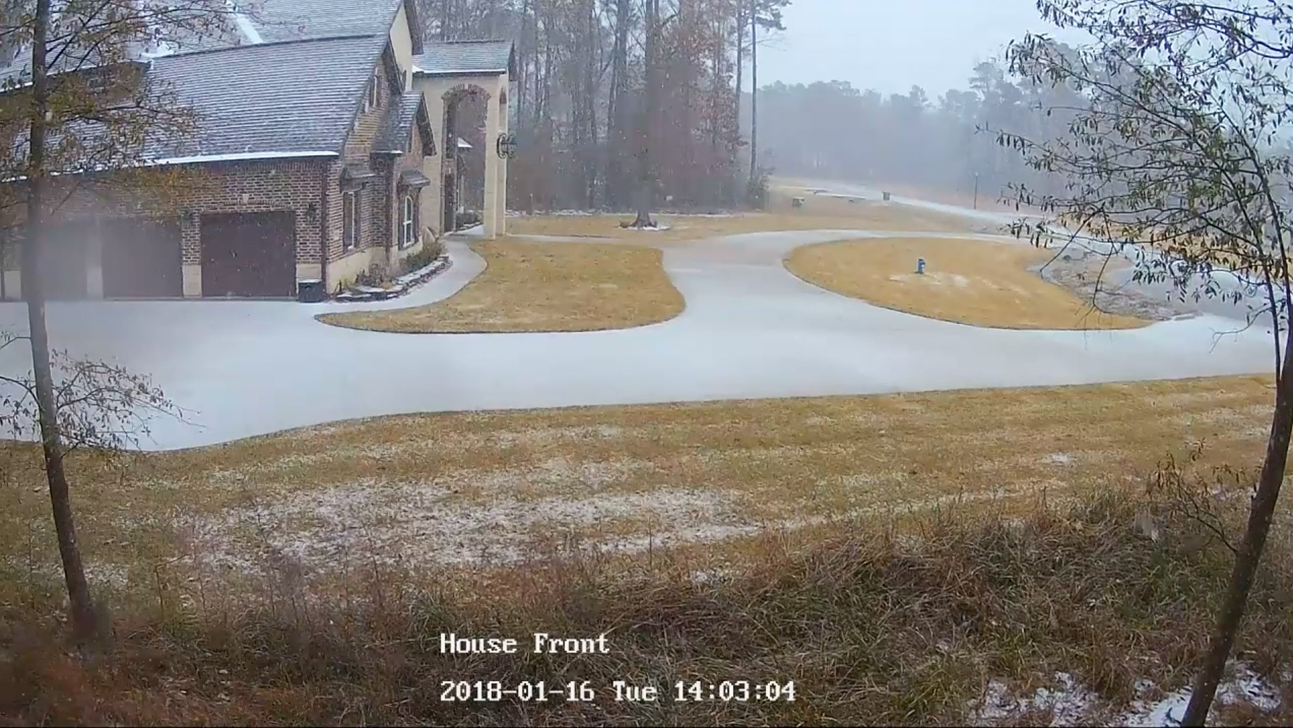 Snowing! ~ 2018